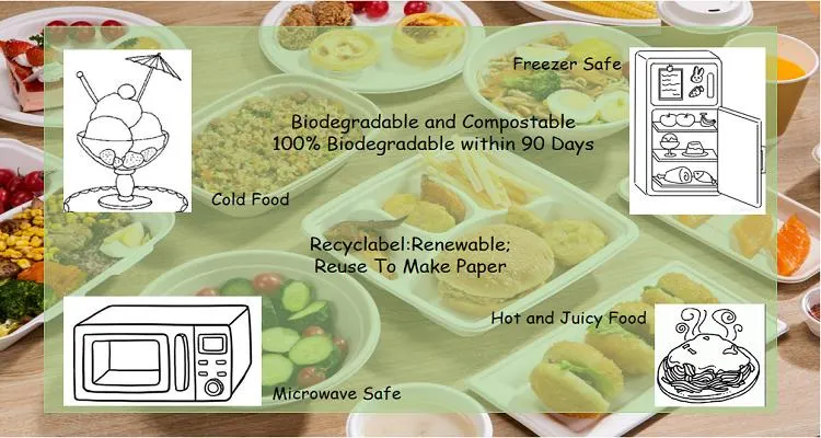 Biodegradable Tableware Dining Room Dinner Non Plastic Plate Disposable Paper Plate