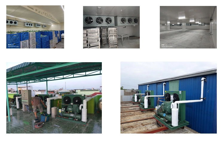 Cooling System Refrigerated Cold Room Storage Walk in Cold Room for Low Temperature Food