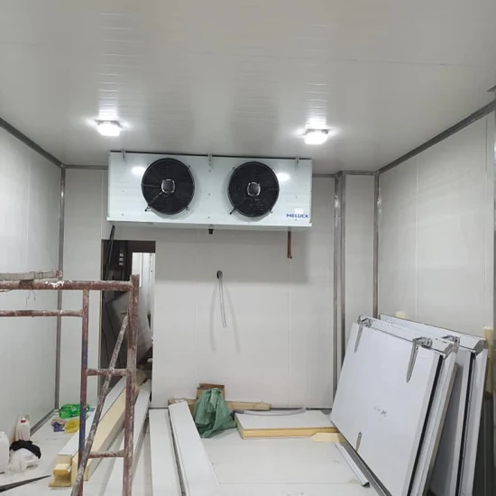 Cooling System Refrigerated Cold Room Storage Walk in Cold Room for Low Temperature Food