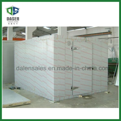 Cold Storage for Food (DCM-500)