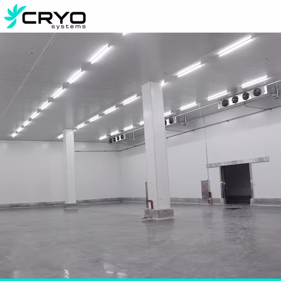 Cold Storage Prefabricated Food Cold Storage for Fresh Vegetables and Fruits