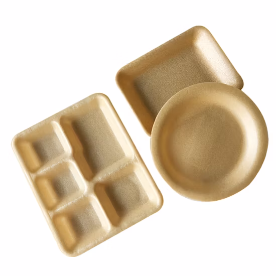 Food Grade Moulded 100% Biodegradable PLA Fast Food Serving Tray